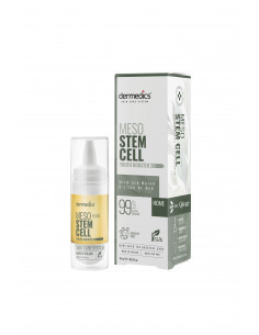 Meso Home STEMCELL 2